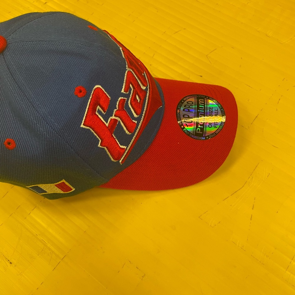 Famous france embroidery unisex hat.